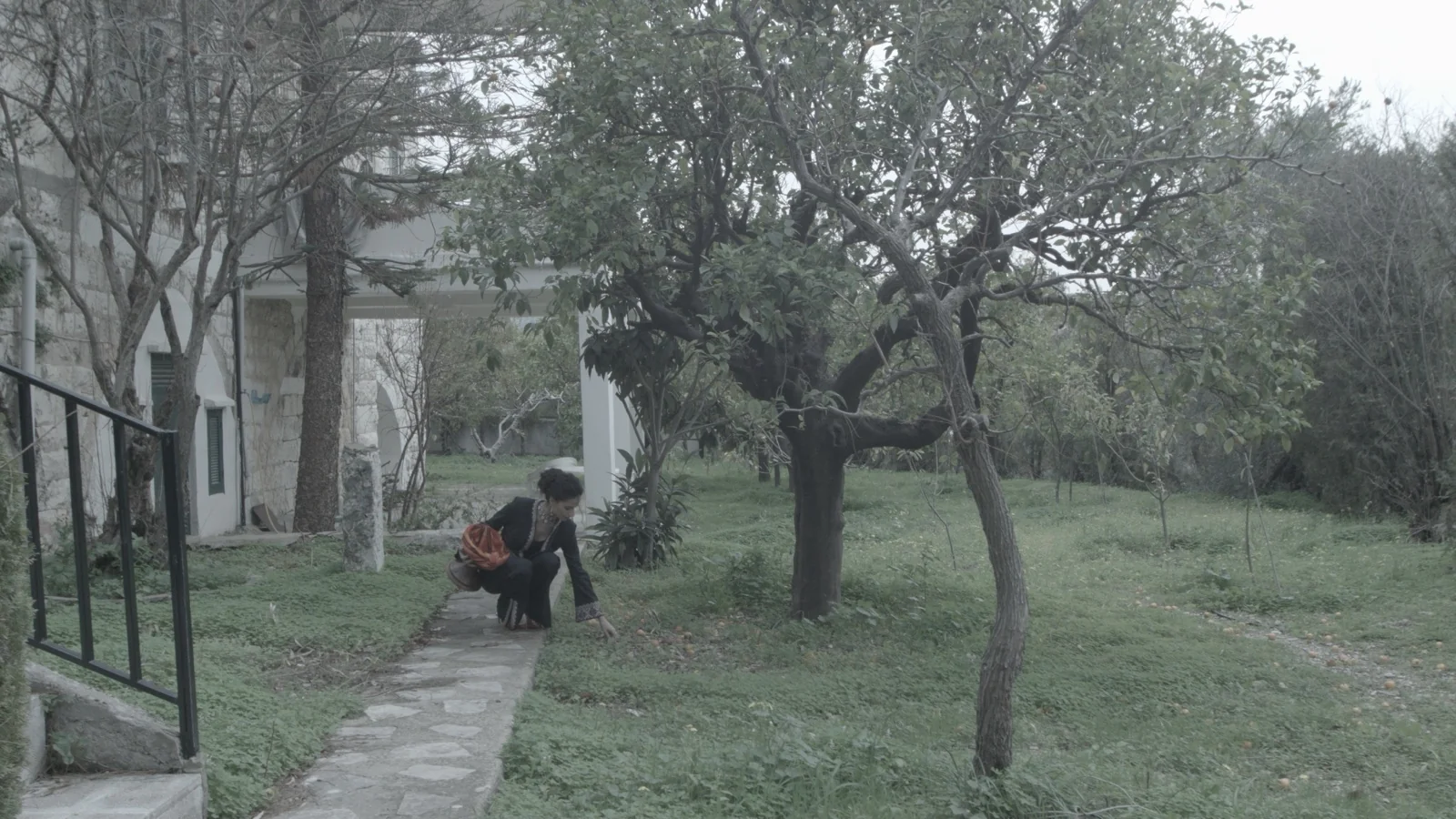 Garden 1, RAW