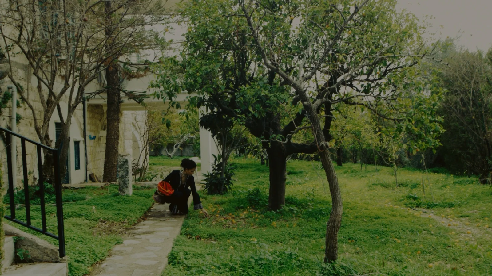 Garden 1, Fuji Superia Reala + Fuji Crystal Archive Supremer Print