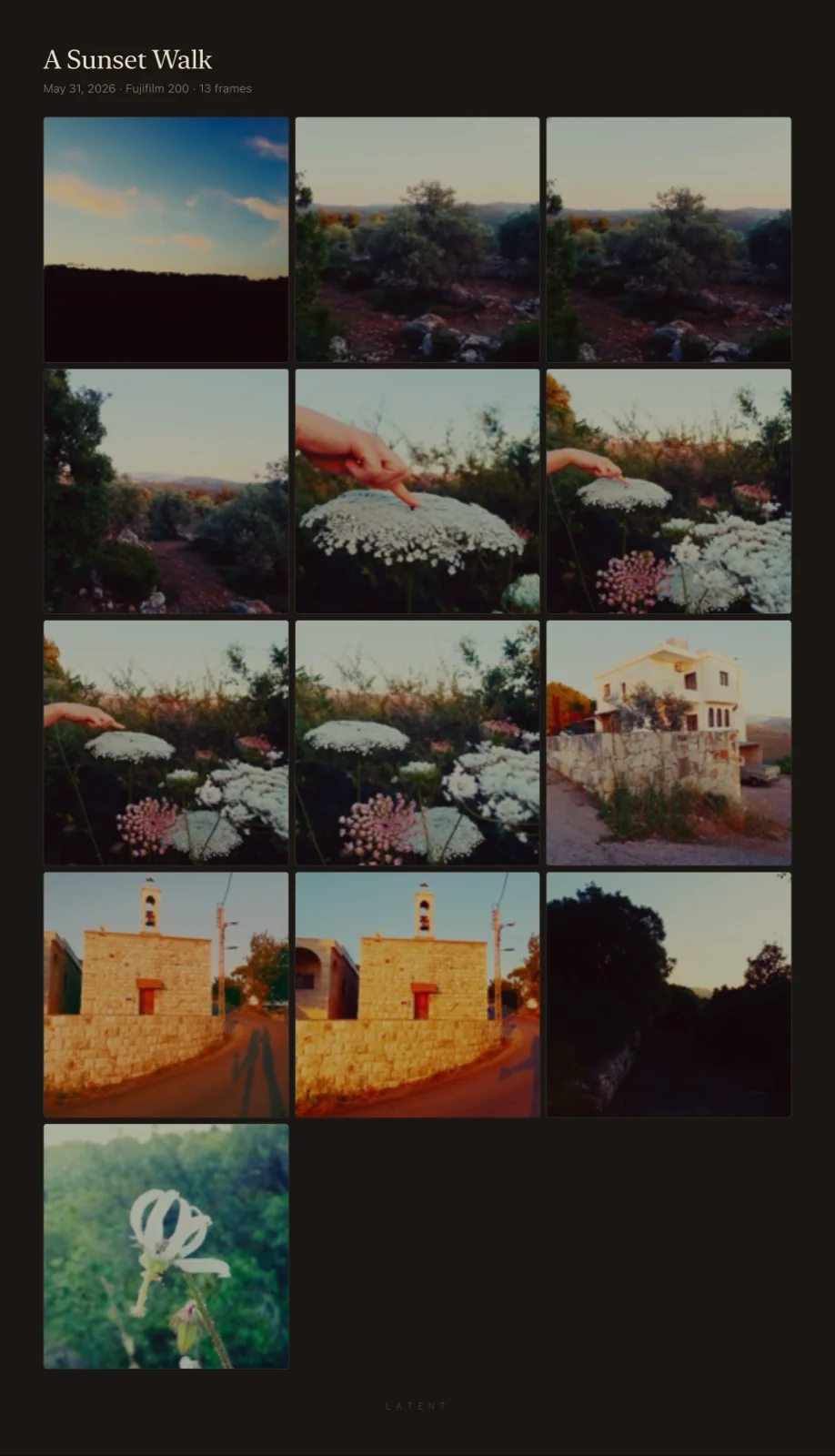 The same contact sheet rendered in the dark Evening theme
