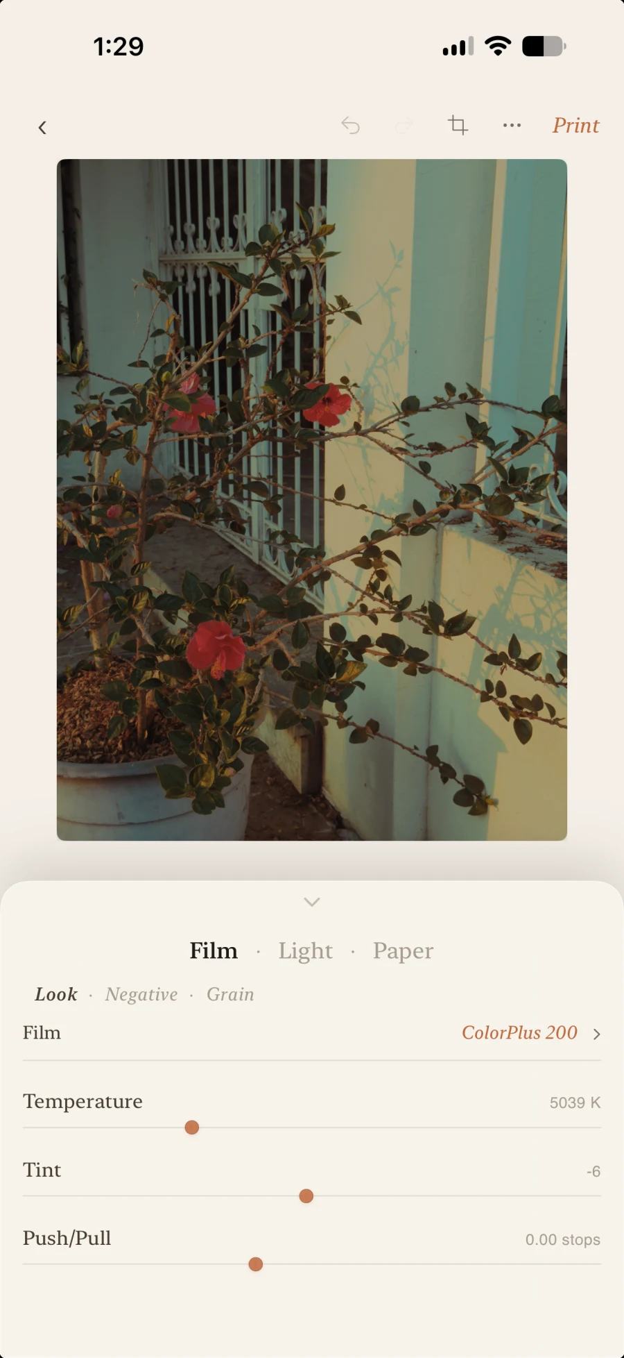 The pocket darkroom in The Moment on iPhone — the Film shelf open beneath a photograph of hibiscus against a painted wall, with ColorPlus 200 chosen at 5039 K and no push or pull